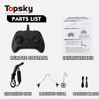 Simulation électrique sans fil Eagle Foam RC Plane Toys Remote Control Glider Airplane Boys Outdoor Game Flying Toys Batteries
