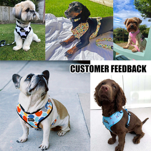 OKKPETS nuove tendenze imbracatura per cani in velluto a coste e guinzaglio con stampa ossea e zampa tessuto morbido resistente per cani di piccola taglia - Product Image 5