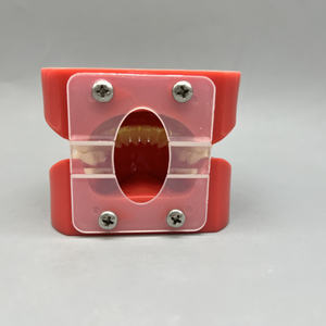 โมเดลฟันเรซินพร้อมลวดจัดฟันและลวดสลิงสำหรับอุปกรณ์ทันตกรรมแหล่งพลังงานด้วยตนเอง - Product Image 5