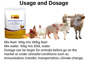Poudre alimentaire à haute biodisponibilité de vitamines <span class=keywords><strong>AD3E</strong></span>, renforce l'immunité, favorise une croissance saine pour le bétail - Product Image 6