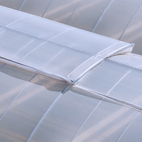 Serre gothique à dents de scie de pointe supérieure, conception de ventilation tropicale, à structure à crémaillère et pignon, serre multi-travées en film pour la culture de fraises