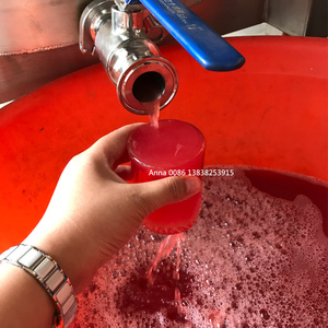 Prensa Hidráulica de Acero Inoxidable para Vino de Uva y Bayas - Product Image 4