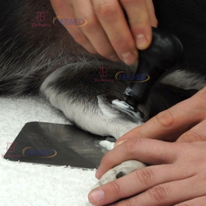Dispositivo Portátil de Terapia Tecar Veterinaria de 448kHz, Radiofrecuencia Móvil para Rehabilitación Animal en Campo - Product Image 3
