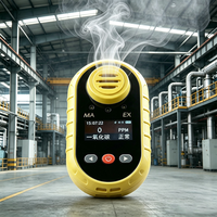 Détecteur de gaz HCN portable antidéflagrant pour l'électrodéposition, l'exploitation minière de l'or, les usines chimiques et les entrepôts de produits chimiques dangereux