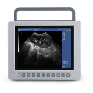 Escáner de ultrasonido veterinario portátil K10, instrumento móvil para animales pequeños con modo B digital completo - Product Image 2