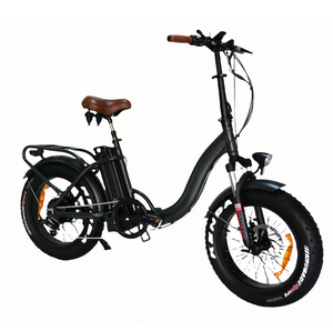 Vélo Électrique Tout-Terrain MISS avec Pneus Larges 20 Pouces, Prix Compétitif, Entrepôt UE - Product Image 2