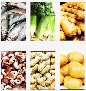 Machine à nettoyer les pommes de terre et à peler les fruits et légumes en acier inoxydable de qualité professionnelle - Product Image 3