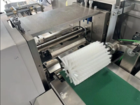 Machine d'emballage à flux horizontal Ruipuhua ZP-530S automatique de fruits aliments frais légumes