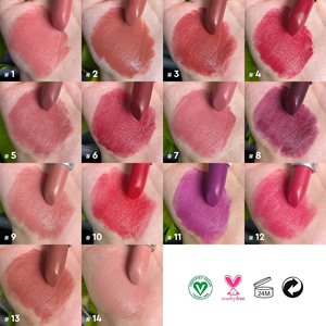 Prezzo all'ingrosso nuovo rossetto vegano in velluto opaco OEM Private Label rossetto solido - Product Image 4