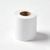 Rouleau d'étiquettes thermiques autocollantes blanches A6 pour imprimante de bordereaux 10x15, vente en gros
