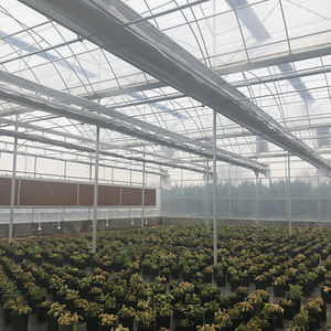 Serre Agricole Complète avec Couverture en Plastique pour Légumes Extérieurs - Invernadero de Plástico avec Film Plastique - Product Image 6