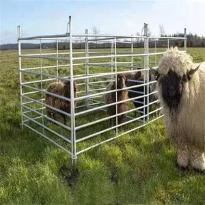 Recinto economico della ferrovia della mucca dell'animale del bestiame dell'azienda agricola/recinto delle pecore del bestiame del pannello del recinto del metallo
