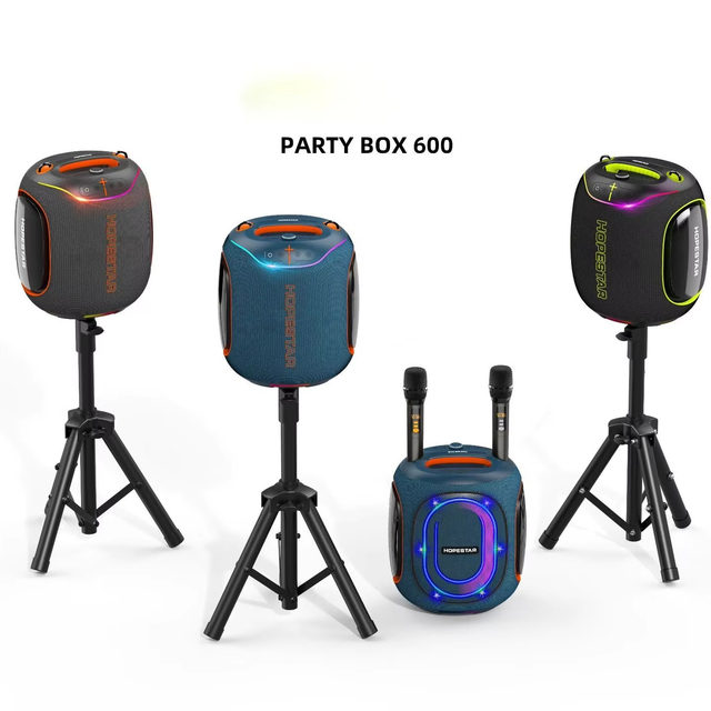 PARTY600 300W High Power Speaker with Dual Mics, Professional Outdoor Karaoke Speaker for Large Parties
