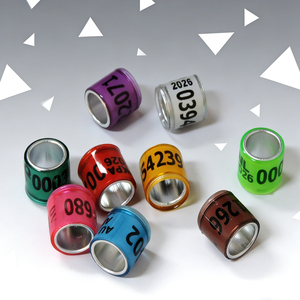 <span class=keywords><strong>2026</strong></span> Vogeltransportring Multi-Color Duivenraces Beenring met Woord Oorbellen Plastic Herbruikbaar Alle Seizoenen - Product Image 1