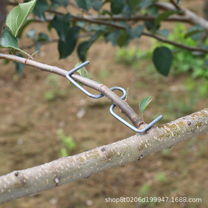 M Type Fruit Tree Branch Puller Zinc Plated Adjustable <b>Hook</b> For Apple Citrus Shaping Horticulture Agriculture Planting - Product Image 4