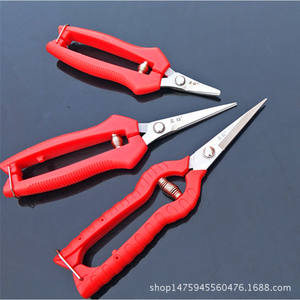 กรรไกรตัดแต่งกิ่งเพชร 60 มม. สแตนเลส หัวตรง ด้ามพลาสติก โครงสร้างแบบผีเสื้อ - Product Image 3