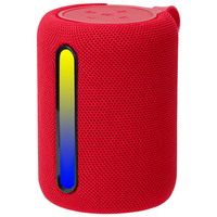 Haut-parleur OEM Bluetooth 5.3 avec driver 52 mm 5W, basses puissantes, lumière LED RGB et cordon, radio TF/USB/FM, autonomie 10H