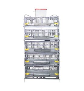 Equipo Comercial de 5 Niveles Tipo H para Alimentación de Codornices y Gallinas Ponedoras, Maquinaria Agrícola, Piezas de 40 kg, 1 Año de Garantía - Product Image 1