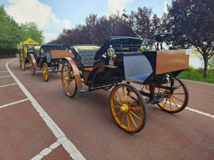Carruaje Eléctrico Turístico para Puntos Turísticos, Carruaje Retro con Estilo de Carruaje de Caballos para Recorridos Urbanos y Transporte de Turistas en Zoológicos - Product Image 2