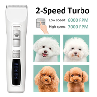Petwant 2 vitesses lame en céramique Rechargeable professionnel Pet chien chat rasoir Pet cheveux tondeuses tondeuse ensemble