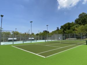 <span class=keywords><strong>Curly</strong></span> PE 96 <span class=keywords><strong>COURT</strong></span> DE TENNIS GAZON SYNTHETIQUE TERRAIN DE TENNIS, TERRAIN DE PADDLE, TERRAIN DE MULTISPORT, <span class=keywords><strong>COURT</strong></span> DE TENNIS - Product Image 3