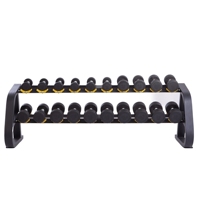Soporte de Acero de 2 Niveles para Gimnasio, Resistente, para 10 Pares de Mancuernas, Juego de Mancuernas Premium para Uso en Casa o Gimnasio