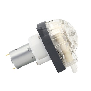Bomba peristáltica LEFOO 12V/24V para tratamiento de agua con motor de bajo consumo, fabricante de bombas dosificadoras, bomba peristáltica de motor paso a paso LFP30 - Product Image 1