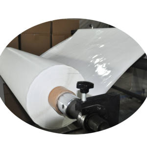 Lámina plana de material <span class=keywords><strong>PES</strong></span> para ultra filtración, con MWCO: 1.000 a 100.000, para recuperación de proteína de suero de leche - Product Image 1