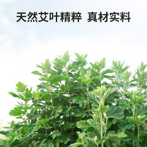 Patch de Moxibustion Chauffant Inuan 5 Pièces pour le Cou et les Épaules, Thérapie à l'Armoise - Product Image 4