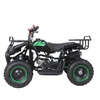 Tao Motor Rino 50 2 Stroke 49CC Mini Farm Utility ATV Quad Bike 4 Wheeler for Kids