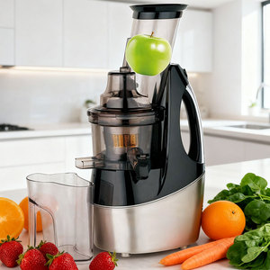 Presse-agrumes lente à froid à faible bruit pour la fabrication <span class=keywords><strong>de</strong></span> glaces aux fruits, vente chaude - Product Image 3