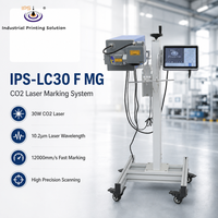 Impresora de Marcado Láser de CO2 de Alta Precisión IPS-LC30 F MG 30W 10.2μm para Botellas de Bebidas y Códigos de Fecha
