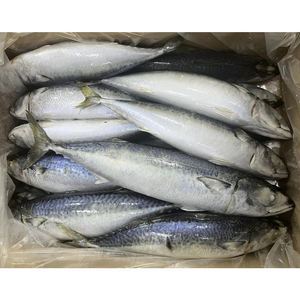 Maquereau du Pacifique entier congelé 300-400g - Product Image 1
