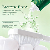 Dentifrice Doux aux Herbes et à l'Essence d'Armoise, Anti-Taches et Rafraîchissant pour l'Haleine, Format Voyage Portable