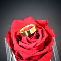 Bague en Zircon Circulaire Vintage Étanche, Plaqué Or 18K, en Acier Inoxydable Massif, pour Mariage, Fiançailles, Cadeau