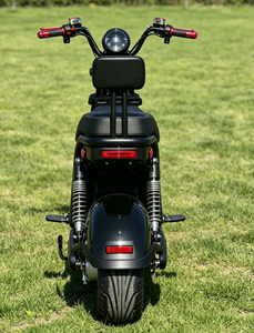 <span class=keywords><strong>Moto</strong></span> Elettrica ad Alta Velocità 110V con Batteria al Piombo-Acido, E-Bike da Corsa per Adulti con Certificazione EEC - Product Image 6