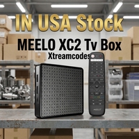 ABD Stoklarında |   Ucuz Stalker IPTV Kutusu Meelo XTV XC2 Dört Çekirdekli Allwinner H313 Android 10 4K TV BOX 2GB 16GB 5G WIFI Destekli OEM
