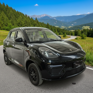 Nuevo Vehículo Eléctrico de Energía Renovable de China, 3500 W, Diseño Moderno, 200, 300, 500 km de Autonomía, Auto Eléctrico Híbrido de Combustible y Electricidad con Batería de Litio - Product Image 4