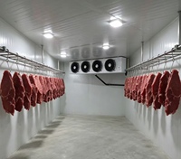 Chambre Froide Portable à Entrée Facile, Prix Compétitif, pour Viandes, Poissons, Fruits et Légumes