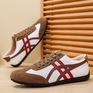 Chaussures tendance pour hommes pour l'été, nouveaux styles, à la mode et polyvalentes, chaussures Agan, chaussures décontractées rétro, chaussures de sport basses à lacets - Product Image 5