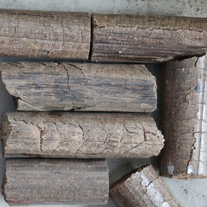 Presse à briquettes d'extrusion de bois biomasse - Product Image 6