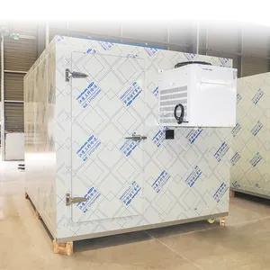 Mobile Container Cold Storage Blast Freezer Room Walk In Cooler Storage Room Frozen Cold Room For Meat And Fish