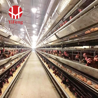 Cage à poulets de chair de type H, cage à poulets de chair à 3 niveaux avec plancher en plastique, système d'évacuation automatique du fumier, abreuvoir à tétine, élevage avicole haute densité
