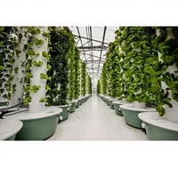 Système d'irrigation par pompe pour ferme hydroponique verticale motorisée automatique Seedafarm, petite tour pour culture intérieure, facile à utiliser, pour la maison et le jardin.