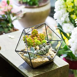 Terrarium en verre géométrique pour plantes aériennes de jardin, décoration de <span class=keywords><strong>rebord</strong></span> de <span class=keywords><strong>fenêtre</strong></span>, étagères, support pour plantes succulentes, cactus, fougères, pot de fleurs - Product Image 6