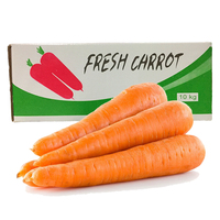 Carottes fraîches d'origine Shandong, légumes frais de Chine