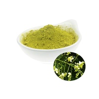 Extrait naturel pur de Sophora Japonica 98% poudre de quercétine supplément certifié HPLC de qualité alimentaire