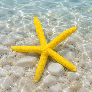 Beach Tema Resina Bianca Sea Stars Ornamenti Stelle Marine Wedding Decor per le Vendite - Product Image 2