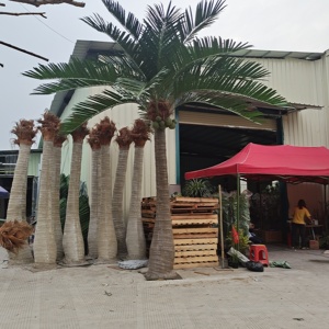 Prix d'usine, grande cocotier artificiel vert, résistant aux UV, éco-responsable, avec structure en <span class=keywords><strong>acier</strong></span> <span class=keywords><strong>galvanisé</strong></span>, ornement <span class=keywords><strong>de</strong></span> <span class=keywords><strong>jardin</strong></span> extérieur - Product Image 3