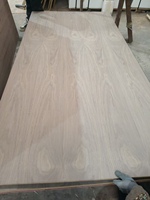 Panneau MDF en placage de noyer - Texture bois véritable, finition brillante/mate, pour meubles de luxe et lambris muraux